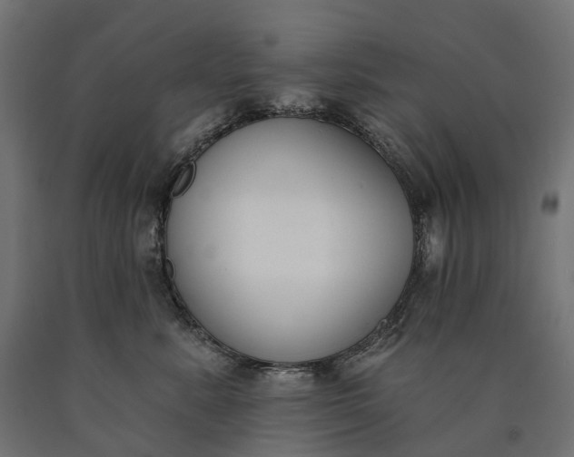 X0000090750619200708031609