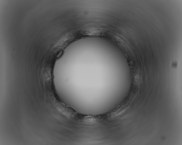 X0000090750620200708031609