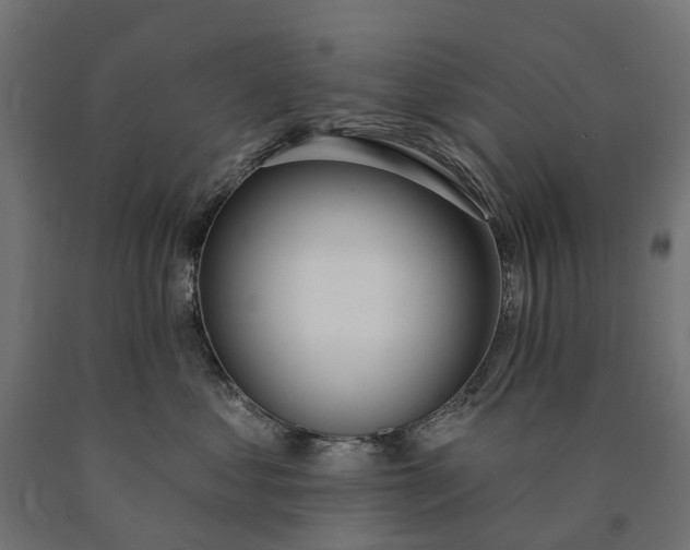 X0000090750621200708031609