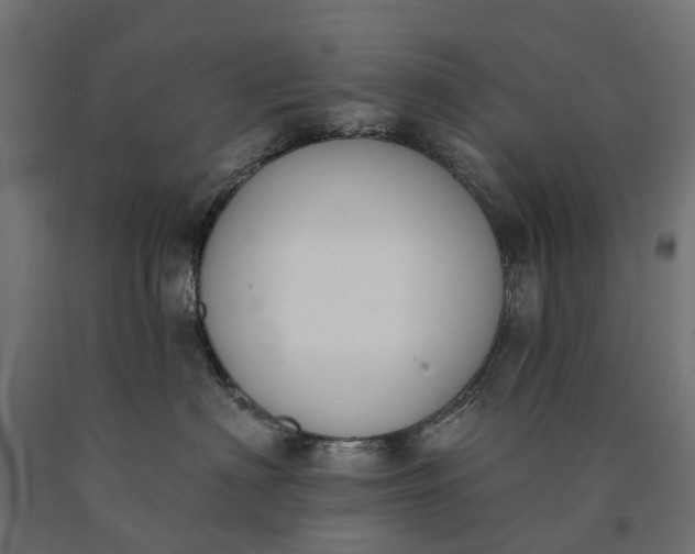 X0000090750622200708031609