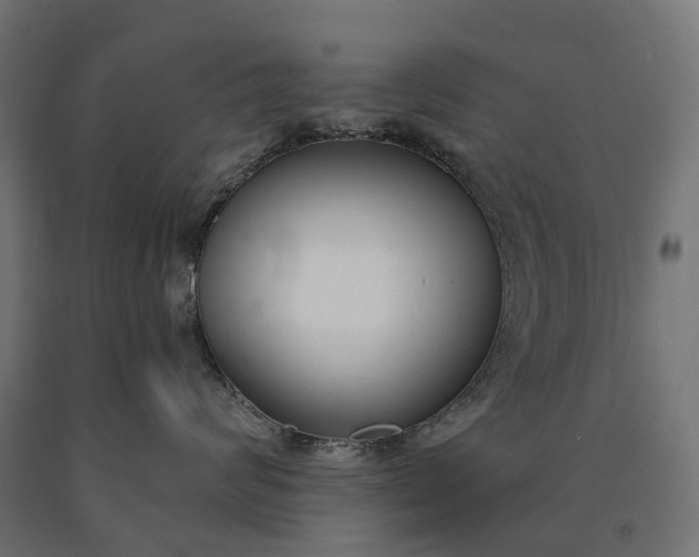 X0000090750624200708031609