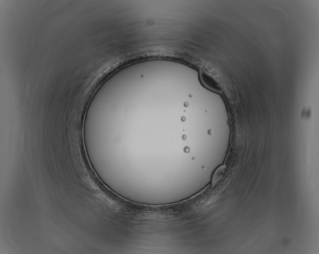 X0000090750625200708031608