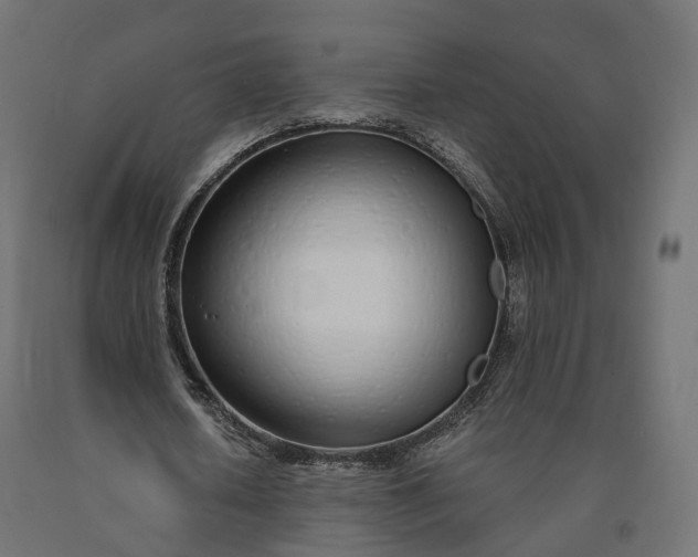 X0000090750626200708031608