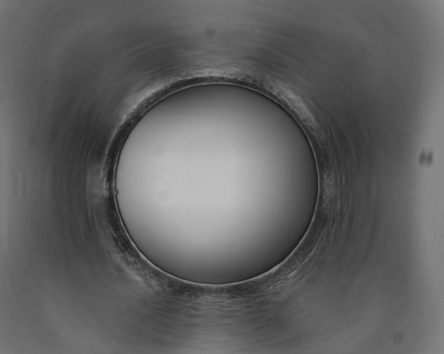 X0000090750628200708031608