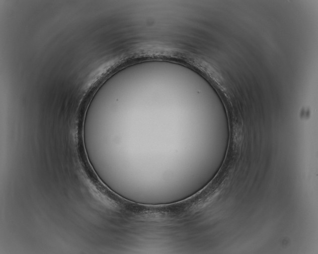 X0000090750629200708031608