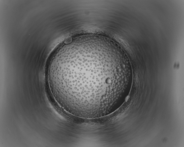 X0000090750630200708031608