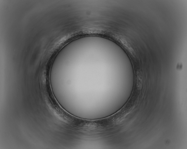 X0000090750631200708031608