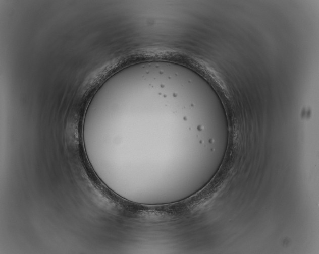 X0000090750633200708031609