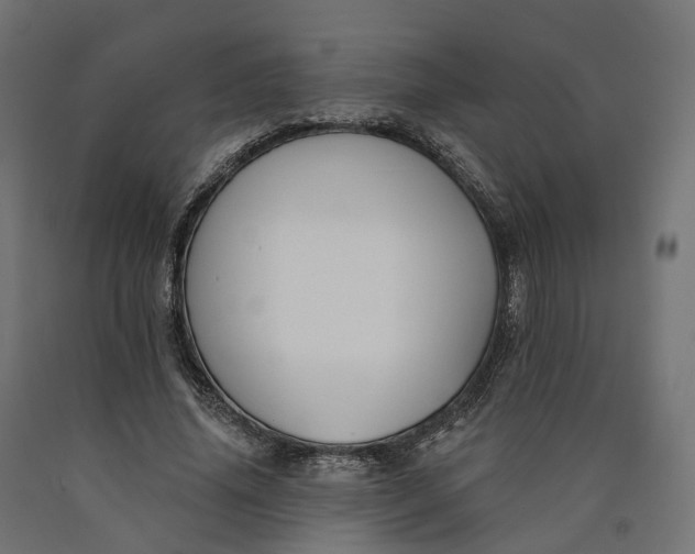 X0000090750636200708031609