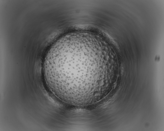 X0000090750637200708031609