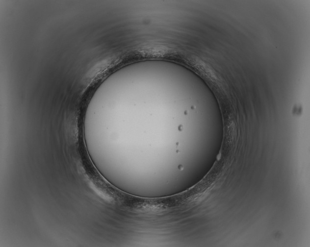 X0000090750638200708031609