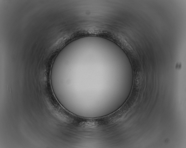 X0000090750639200708031609