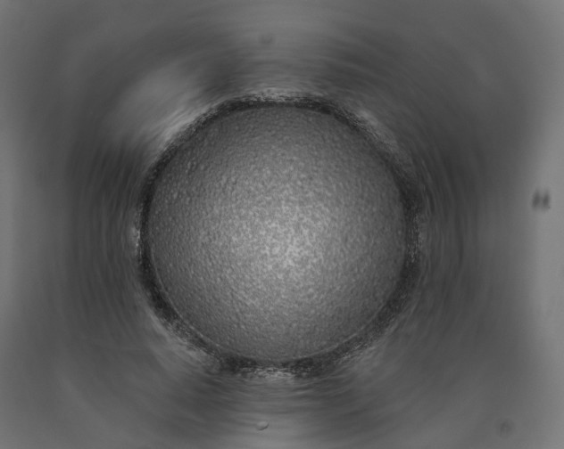 X0000090750640200708031609