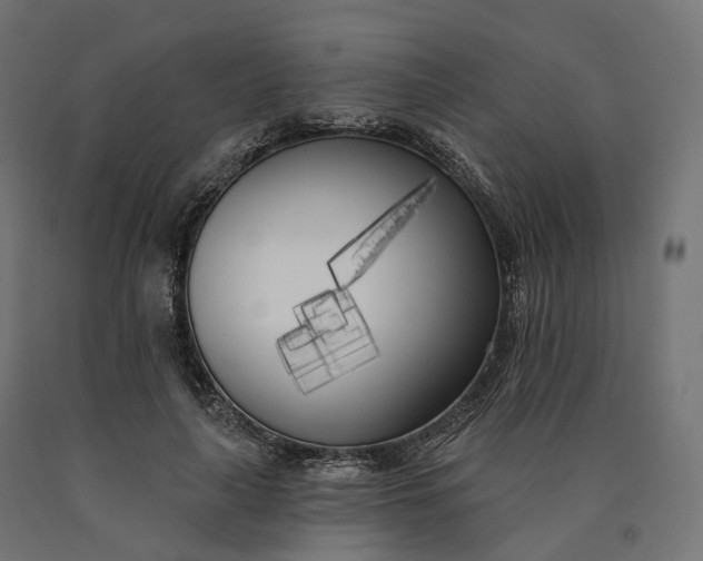 X0000090750643200708031609