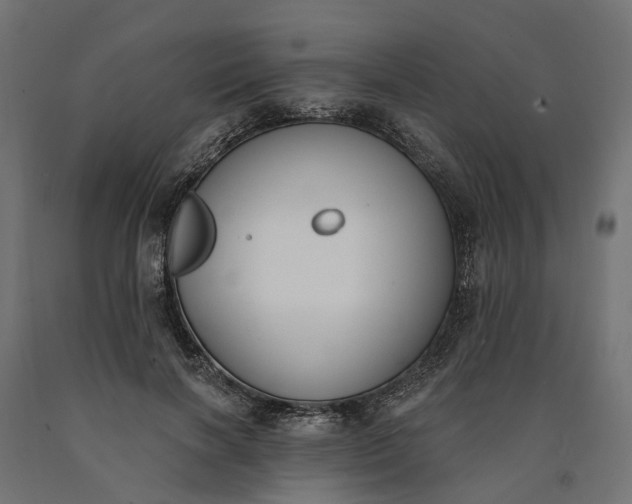 X0000090750646200708031609