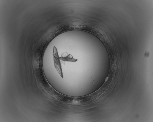 X0000090750647200708031609