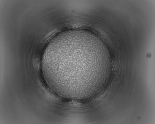 X0000090750648200708031609