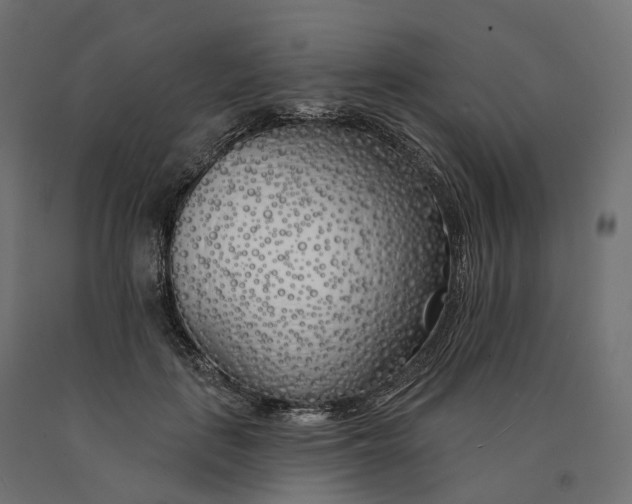 X0000090750651200708031609