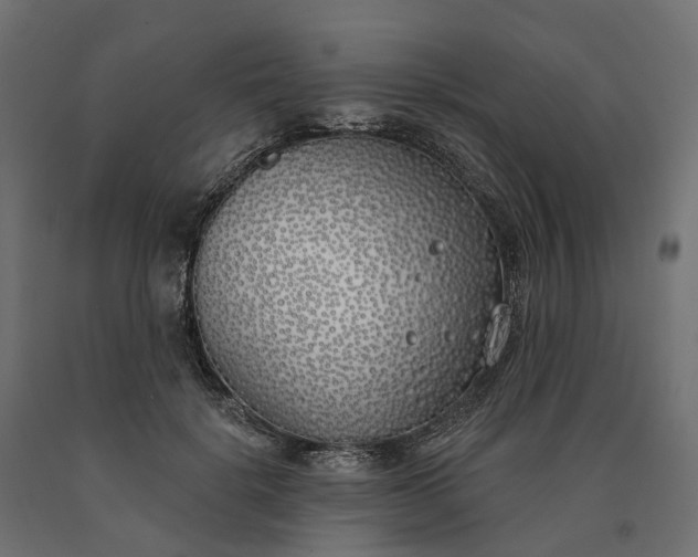 X0000090750652200708031609