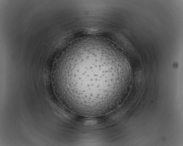 X0000090750653200708031609