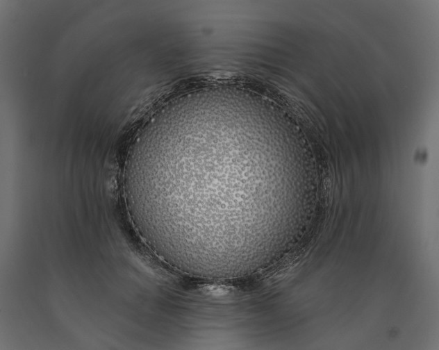 X0000090750654200708031609