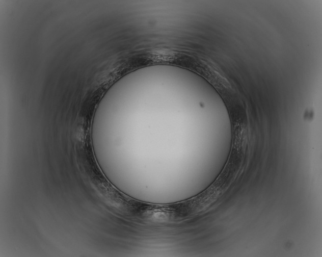 X0000090750655200708031609