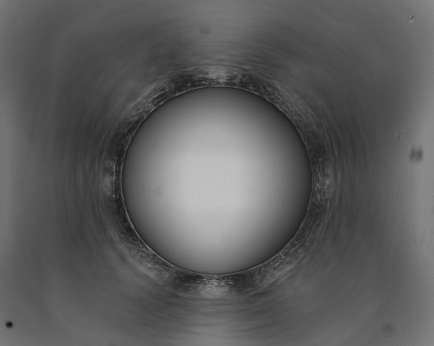 X0000090750656200708031609