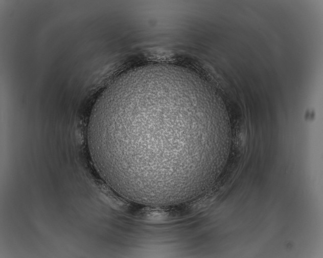 X0000090750658200708031609