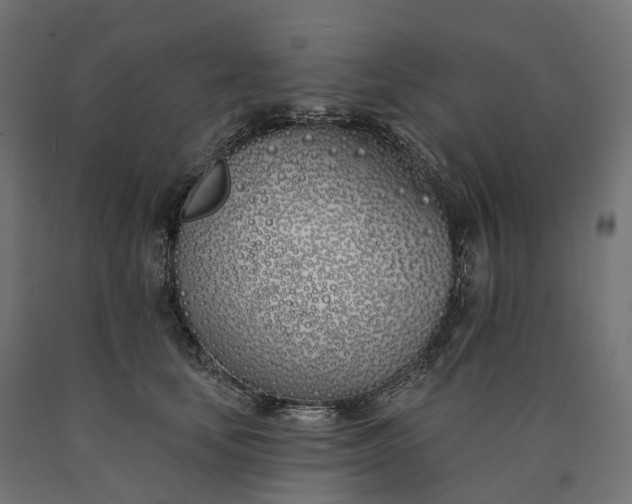 X0000090750659200708031609