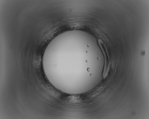 X0000090750660200708031609