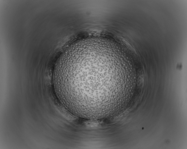 X0000090750661200708031609