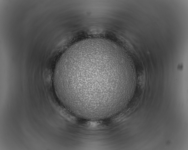 X0000090750662200708031609