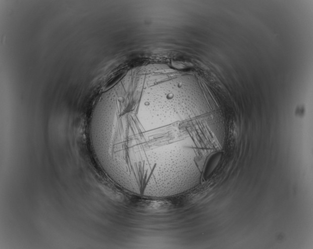 X0000090750663200708031609