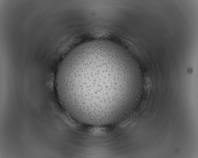 X0000090750664200708031609