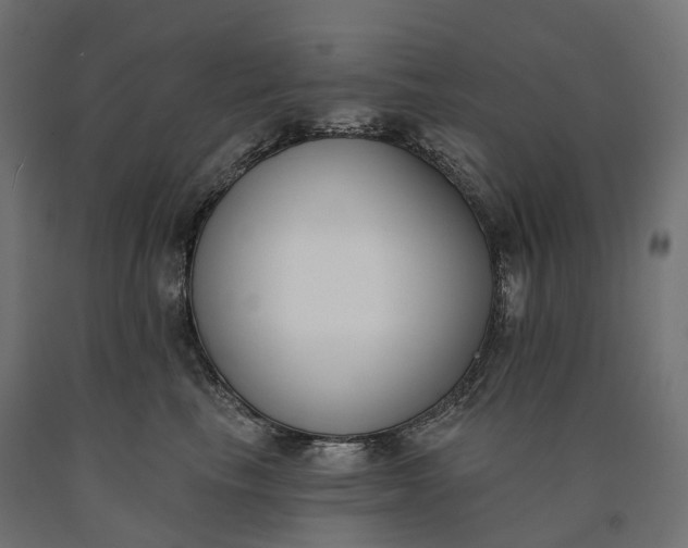 X0000090750665200708031609