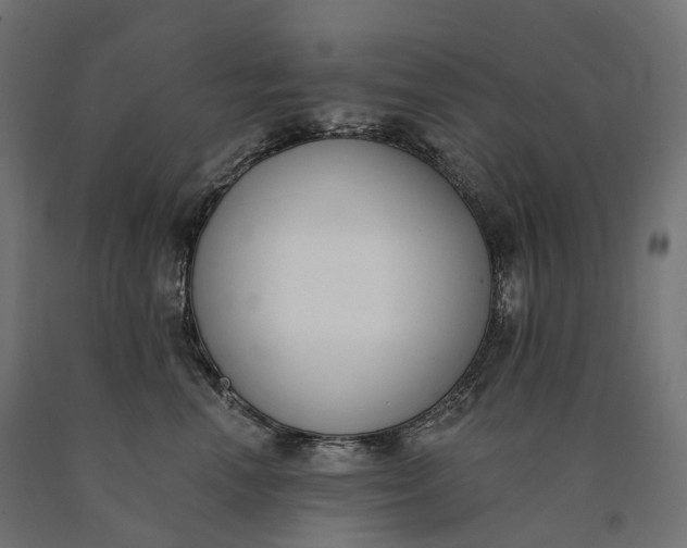 X0000090750666200708031609