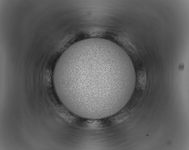 X0000090750667200708031609