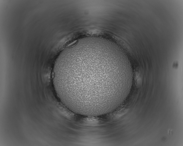 X0000090750668200708031609