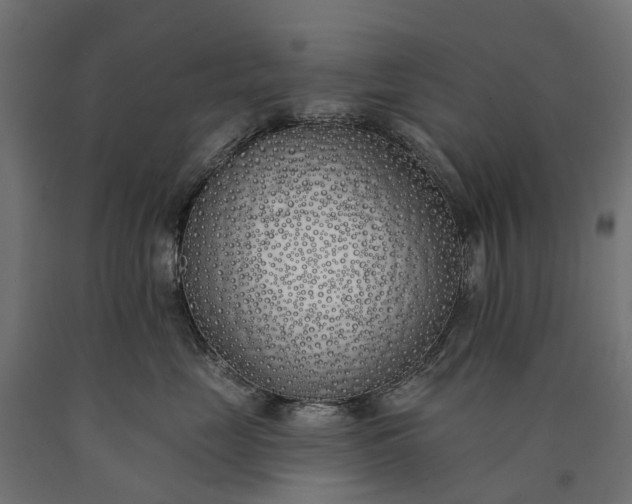 X0000090750669200708031609