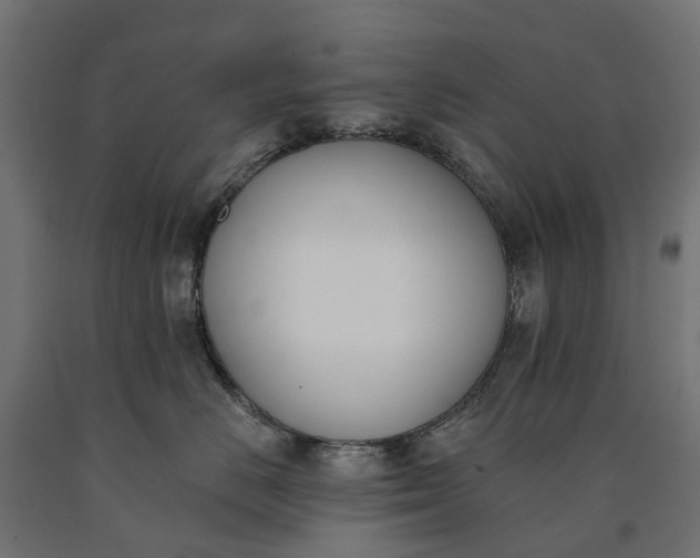 X0000090750670200708031609