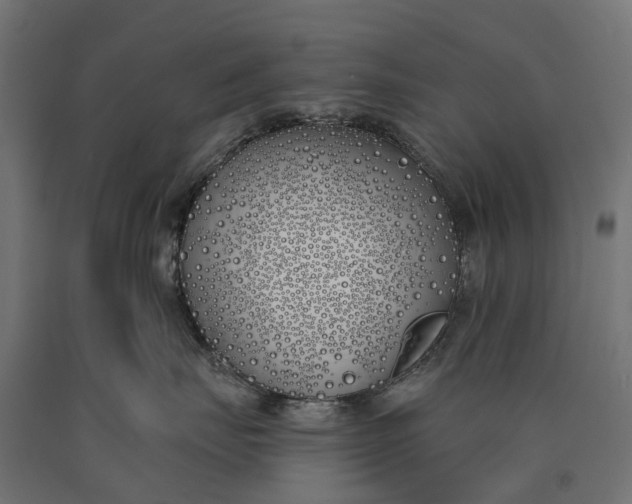 X0000090750671200708031609