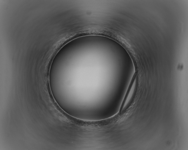 X0000090750673200708031608