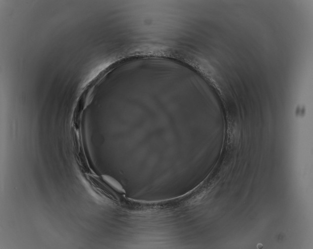 X0000090750674200708031608