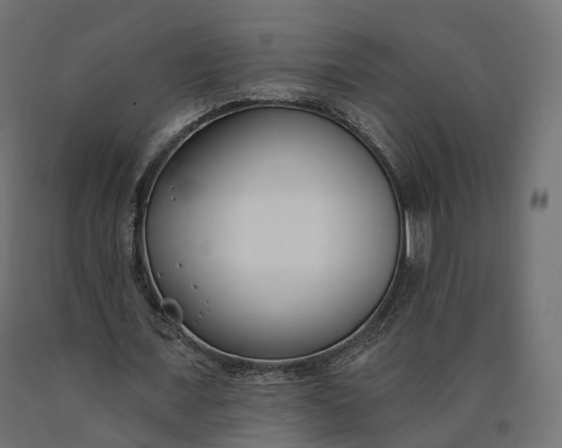 X0000090750675200708031608