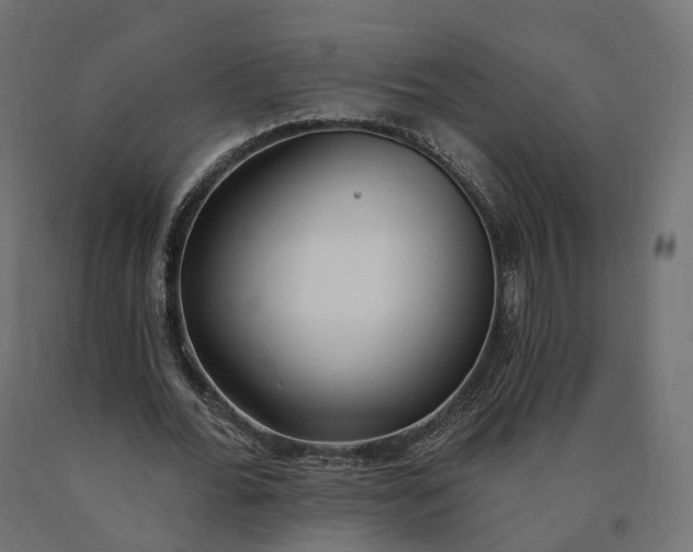 X0000090750676200708031608