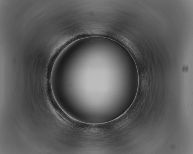 X0000090750677200708031608