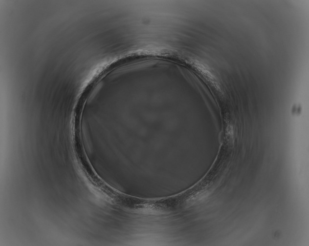 X0000090750678200708031608