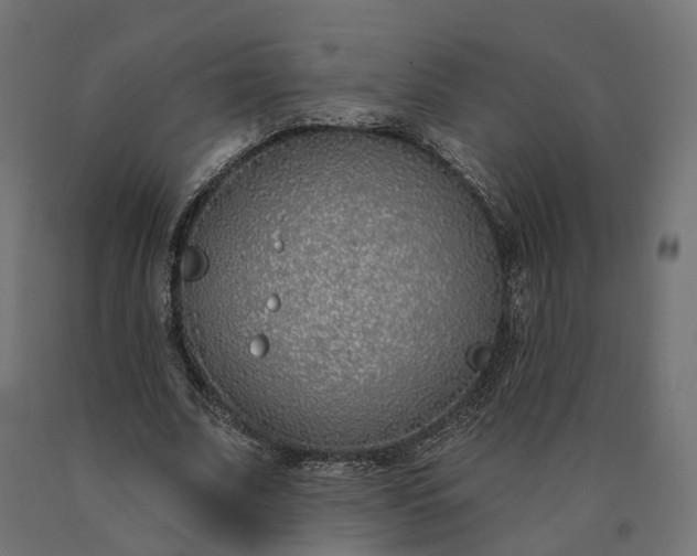 X0000090750679200708031608