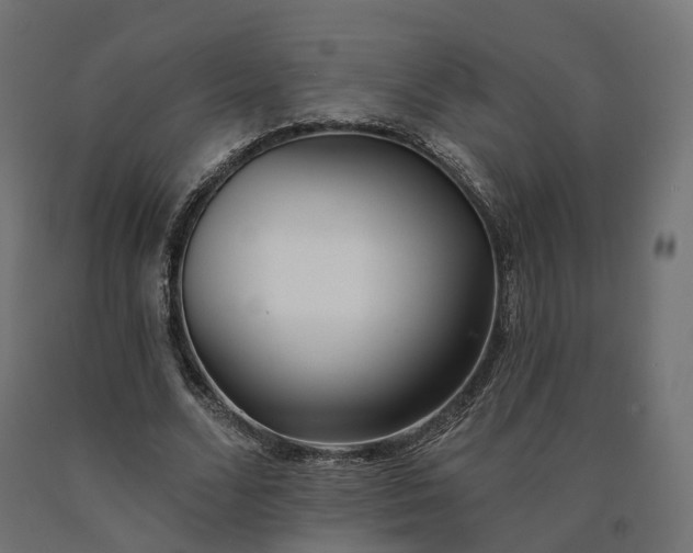 X0000090750680200708031608