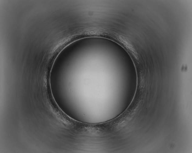 X0000090750681200708031608